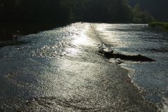 image-48